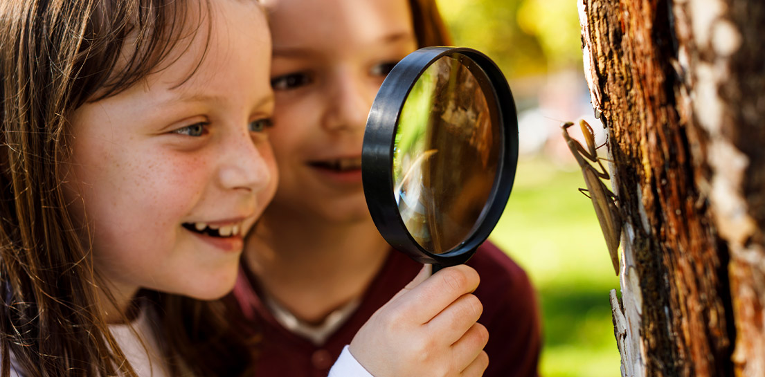 Two smiling children observe a praying mantis on a tree trunk with a magnifying glass outdoors