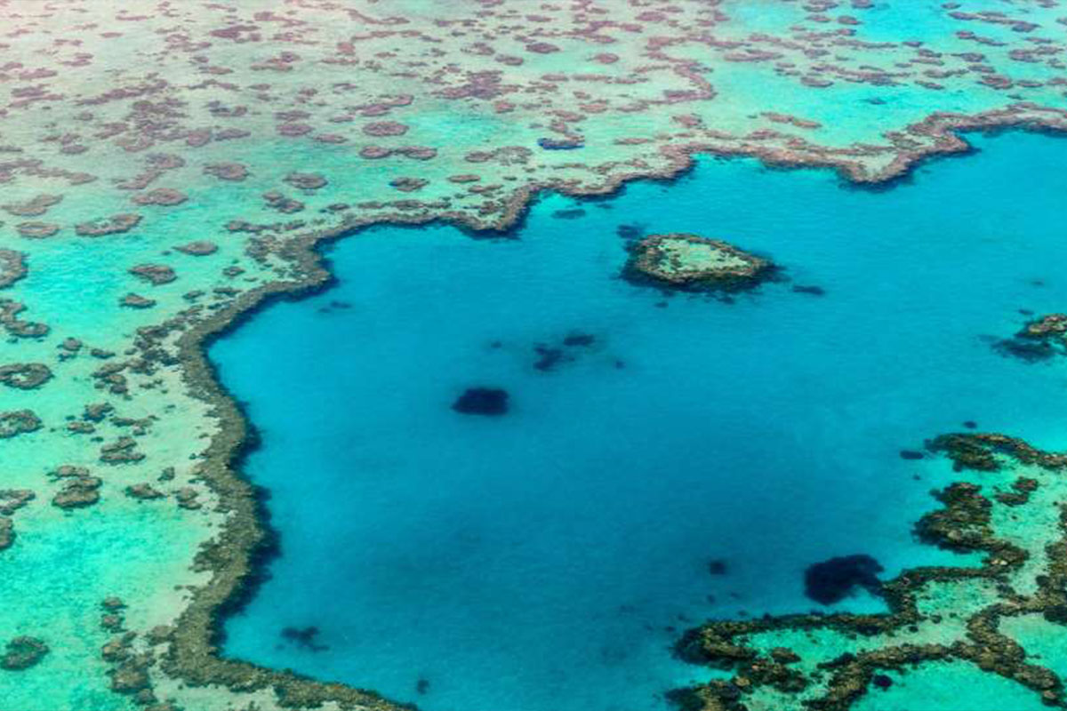 Aerial view of a coral reef in clear green blue ocean water