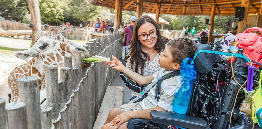 Boy in wheelchair at zoo with mom