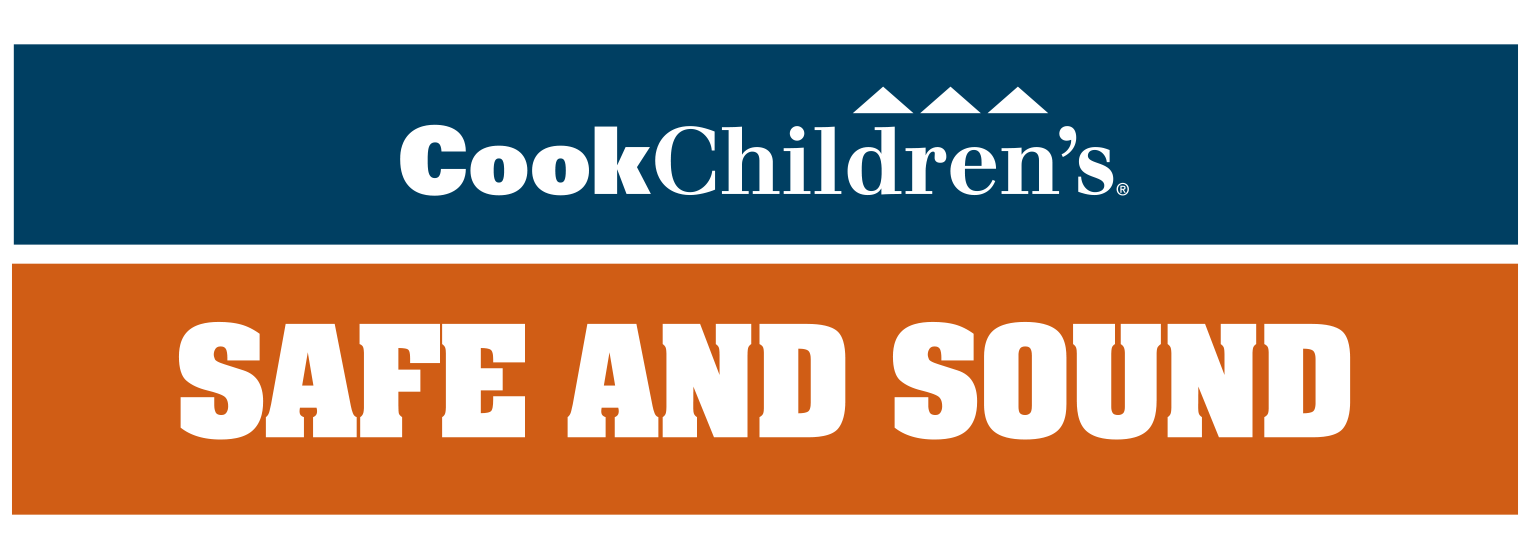 Safe and Sound Logo