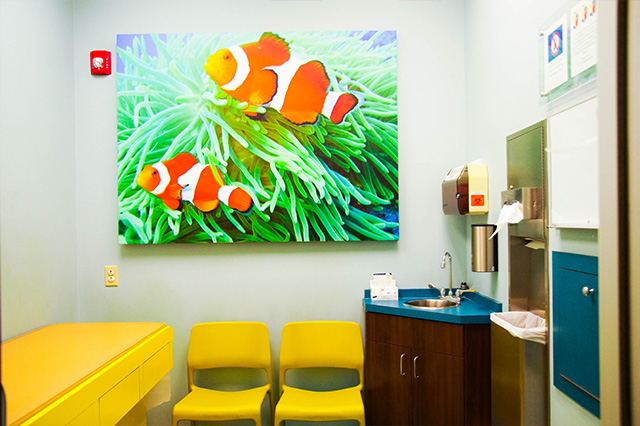 Colorful doctor's office with clownfish art, yellow exam table, chairs, and sink area with medical supplies