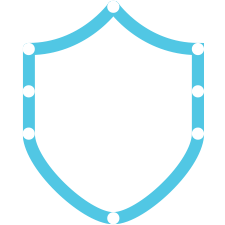 icon graphic of a shield
