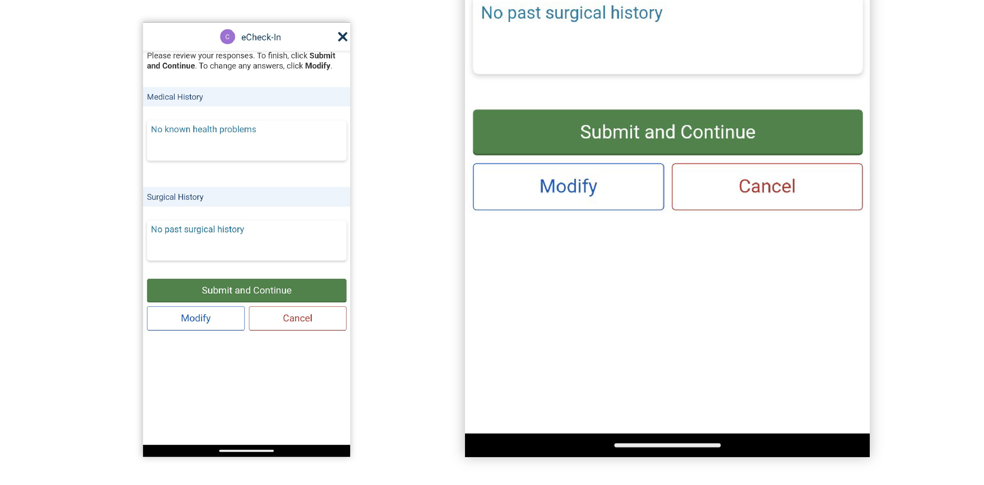 Image of review and submission page for eCheck-In
