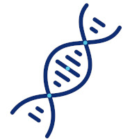DNA